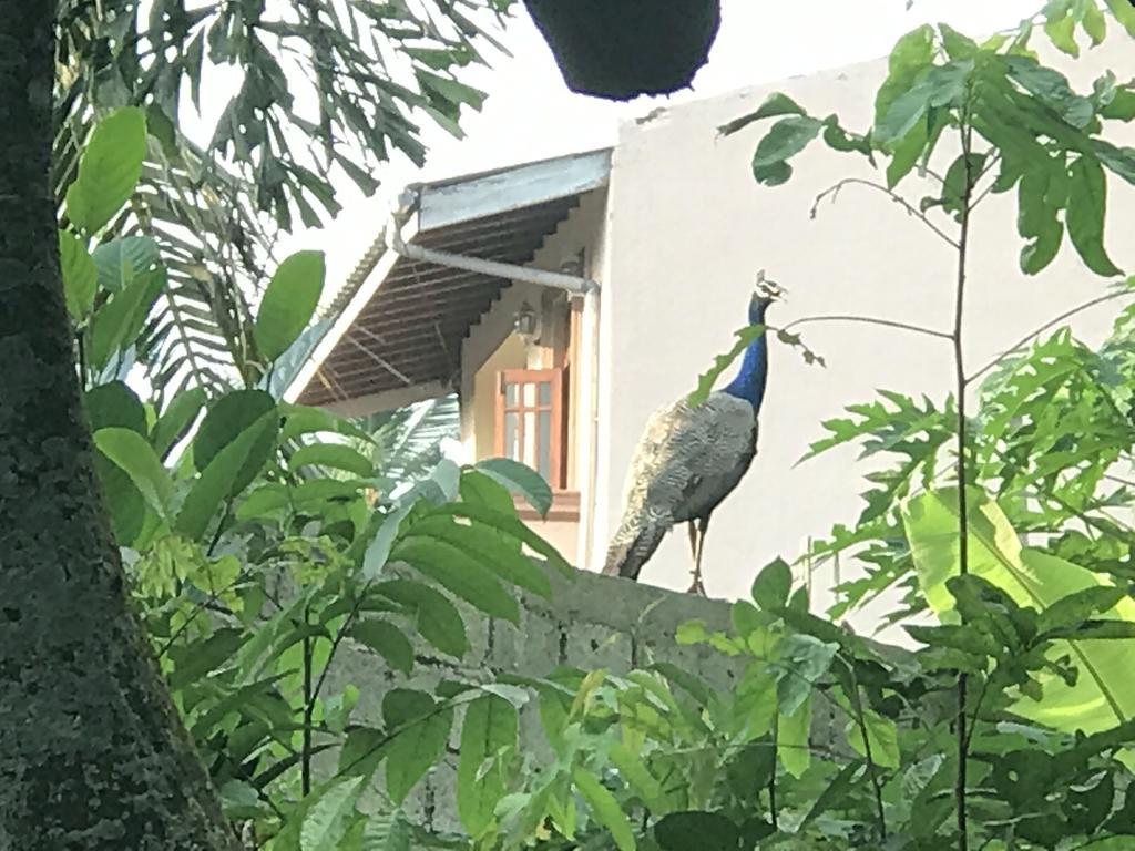 Mount Nature Villa Hikkaduwa Room photo